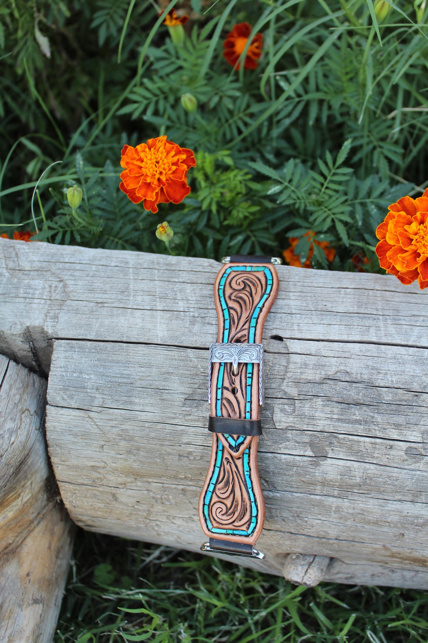 Turquoise Painted Border Watch Band