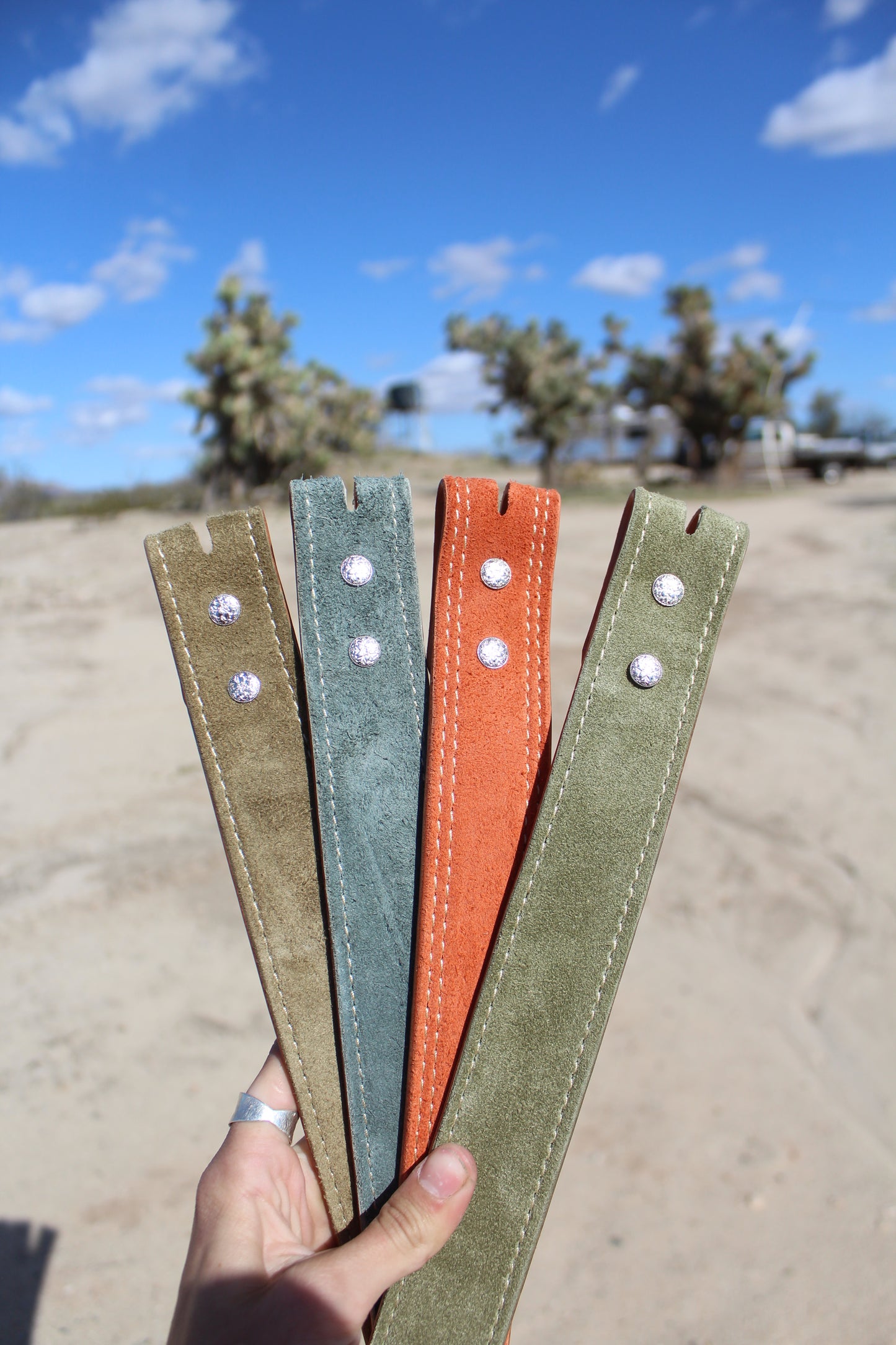 Prickly Pear Reversible Belt